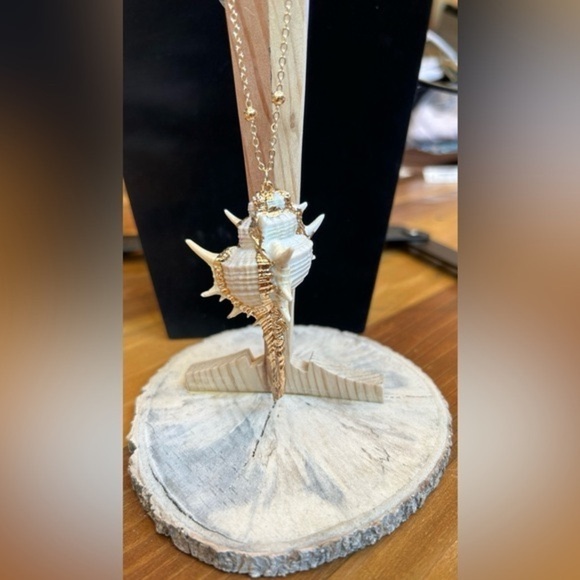 Boutique Beachy Conch Shell Pendant Necklace with Gold-Toned Cable Chain - Picture 9 of 13